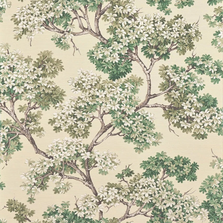 Pierre Frey behang Courtine Fin D&