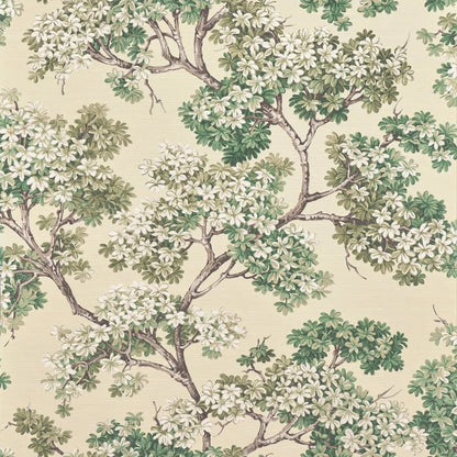 Pierre Frey behang Courtine Fin D&