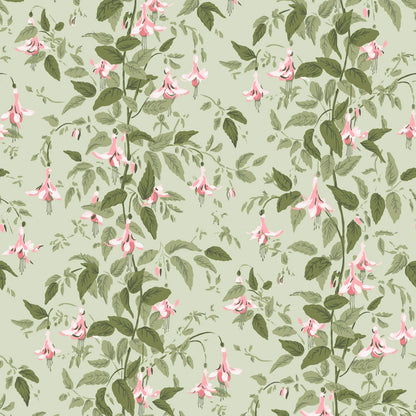 Cole and Son behang Fuchsia Powder Pink and Olive on Soft Spring Green 128/6032