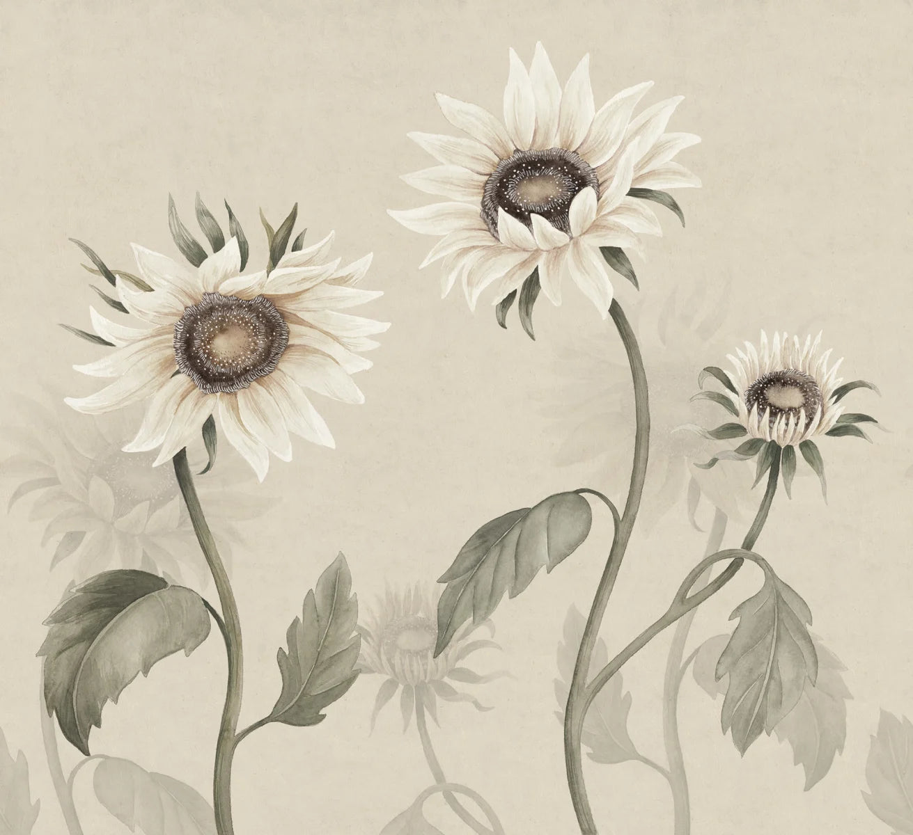 Sandberg Sunflowers White S10529