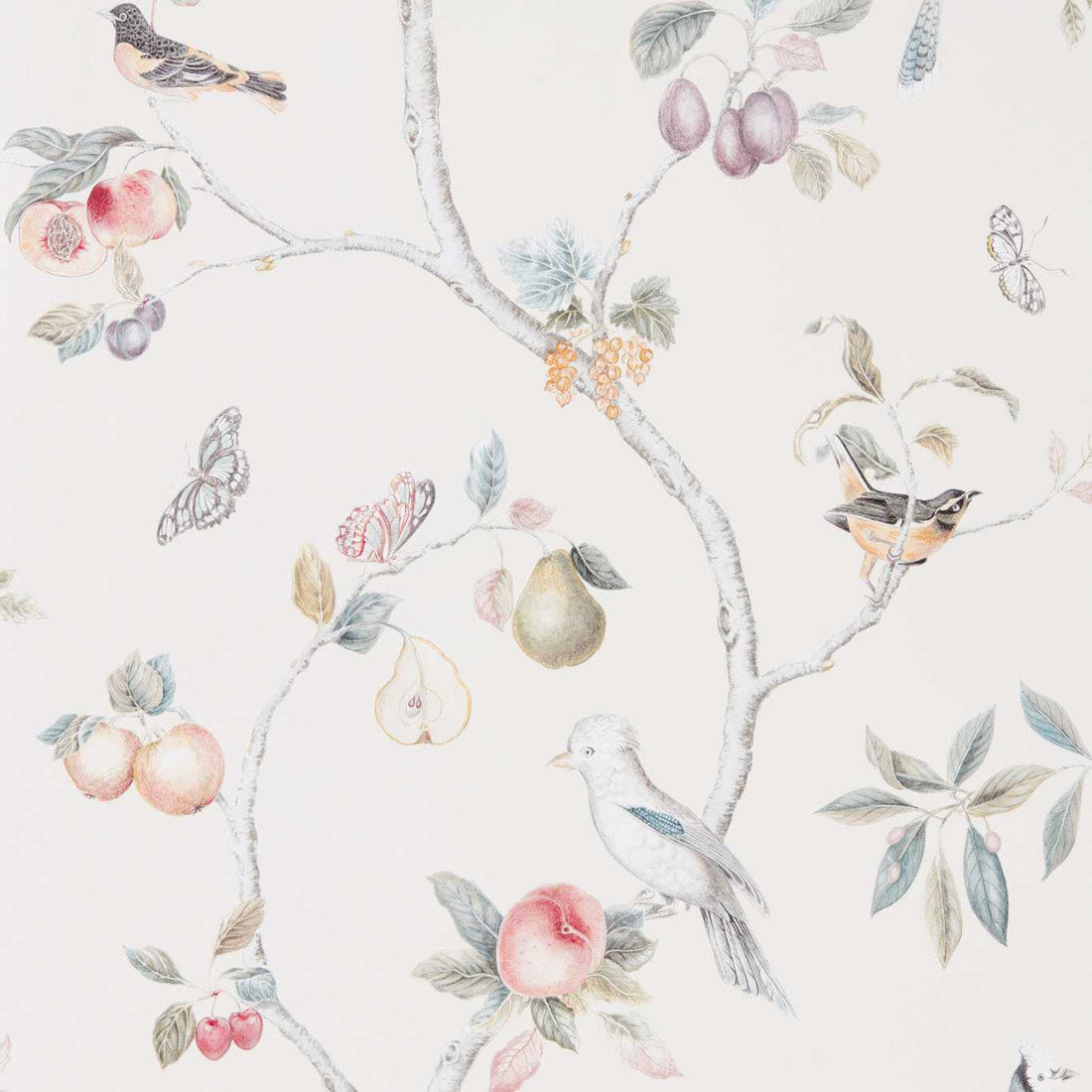 Sanderson Fruit Aviary Cream/Multi 216314
