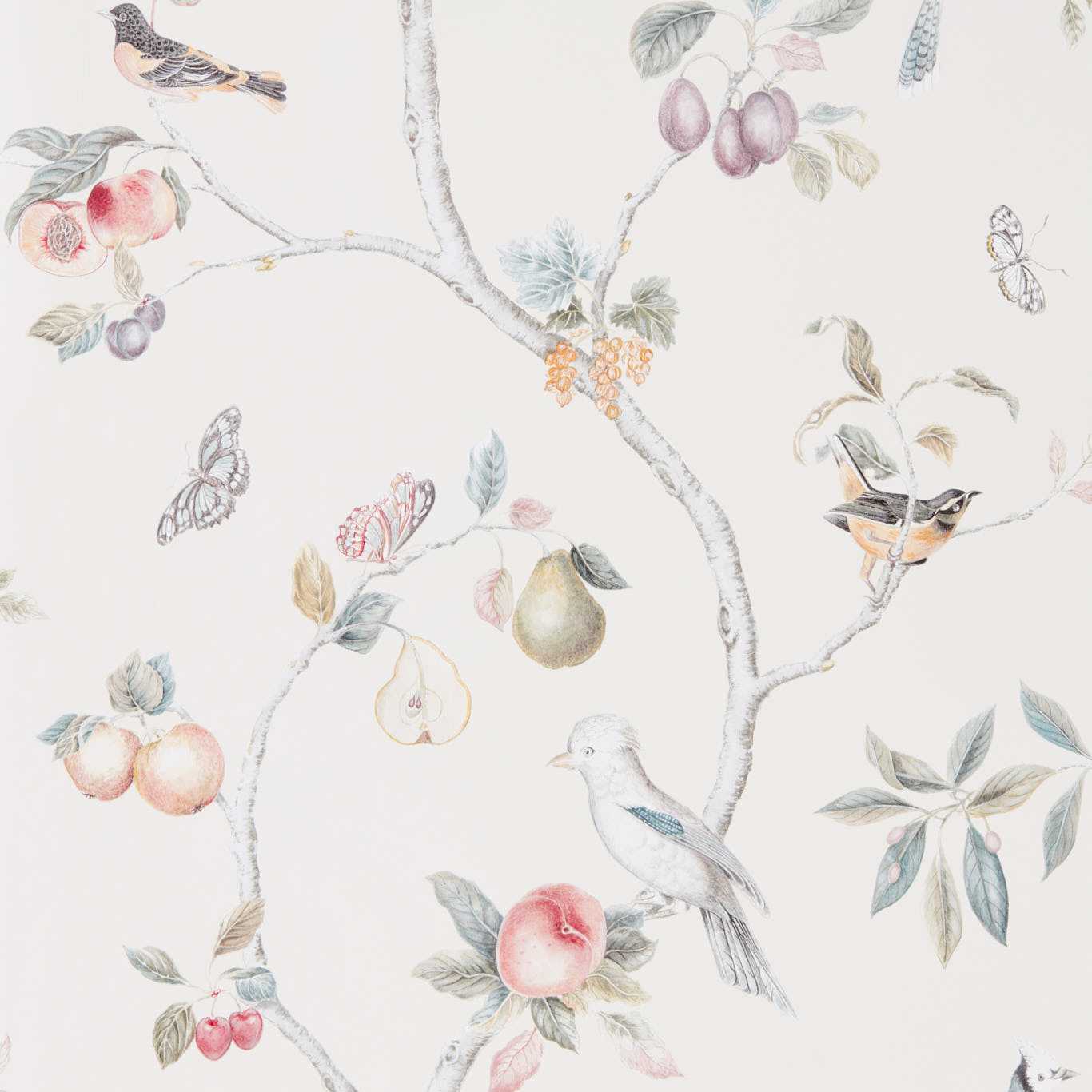 Sanderson Fruit Aviary Cream/Multi 216314