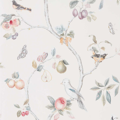 Sanderson Fruit Aviary Cream/Multi 216314