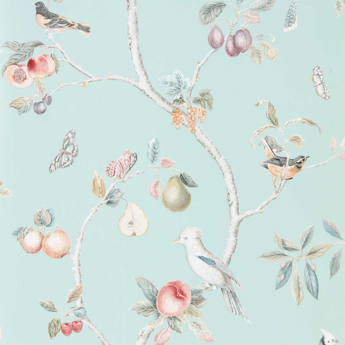 Sanderson Fruit Aviary Duck Egg/Multi 216312