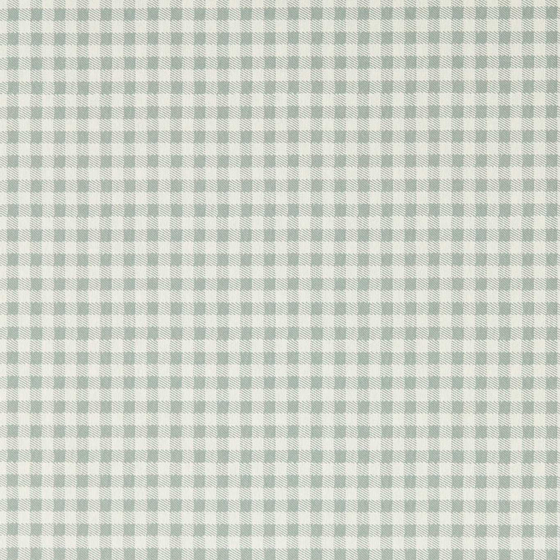 Sanderson Gingham Duck Blue 217434