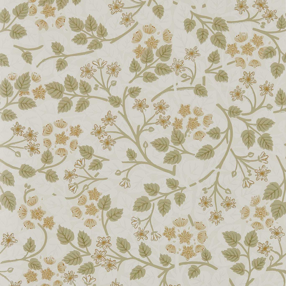 Sanderson Silver Lime Lichen 217515