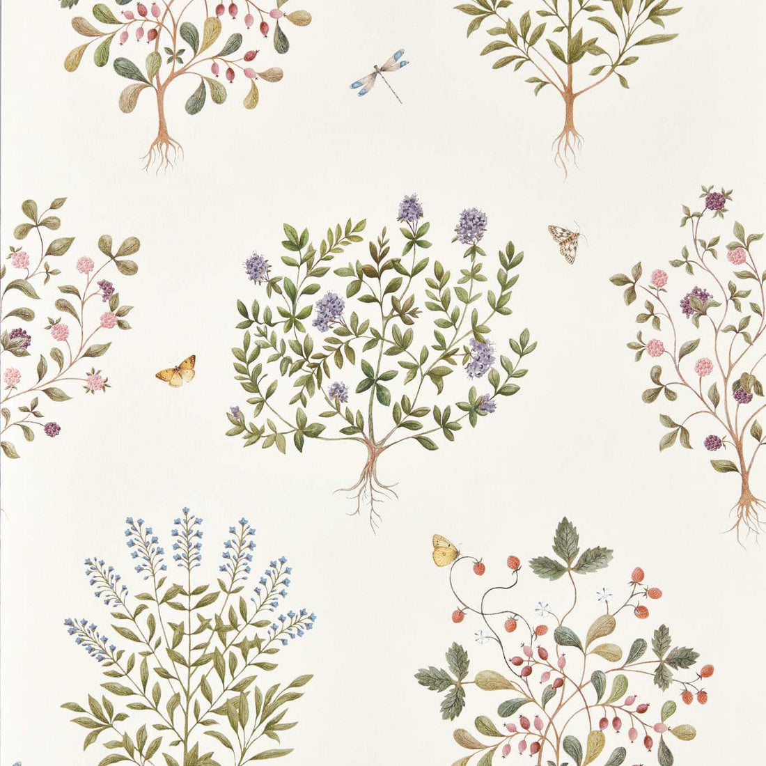 Sanderson Thyme Walk Damson/Quince 217509 meerkleurig 