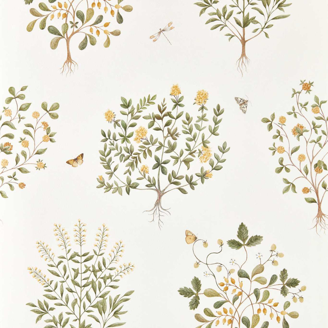 Sanderson Thyme Walk Lichen/Gooseberry 217508 	