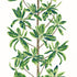 Thibaut behang Mangrove Green and White T45035