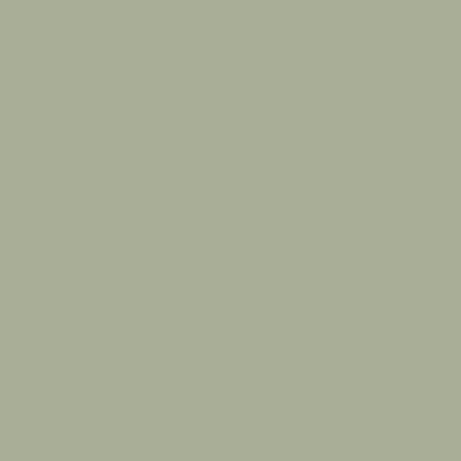 Little Greene verf - Boringdon Green 295