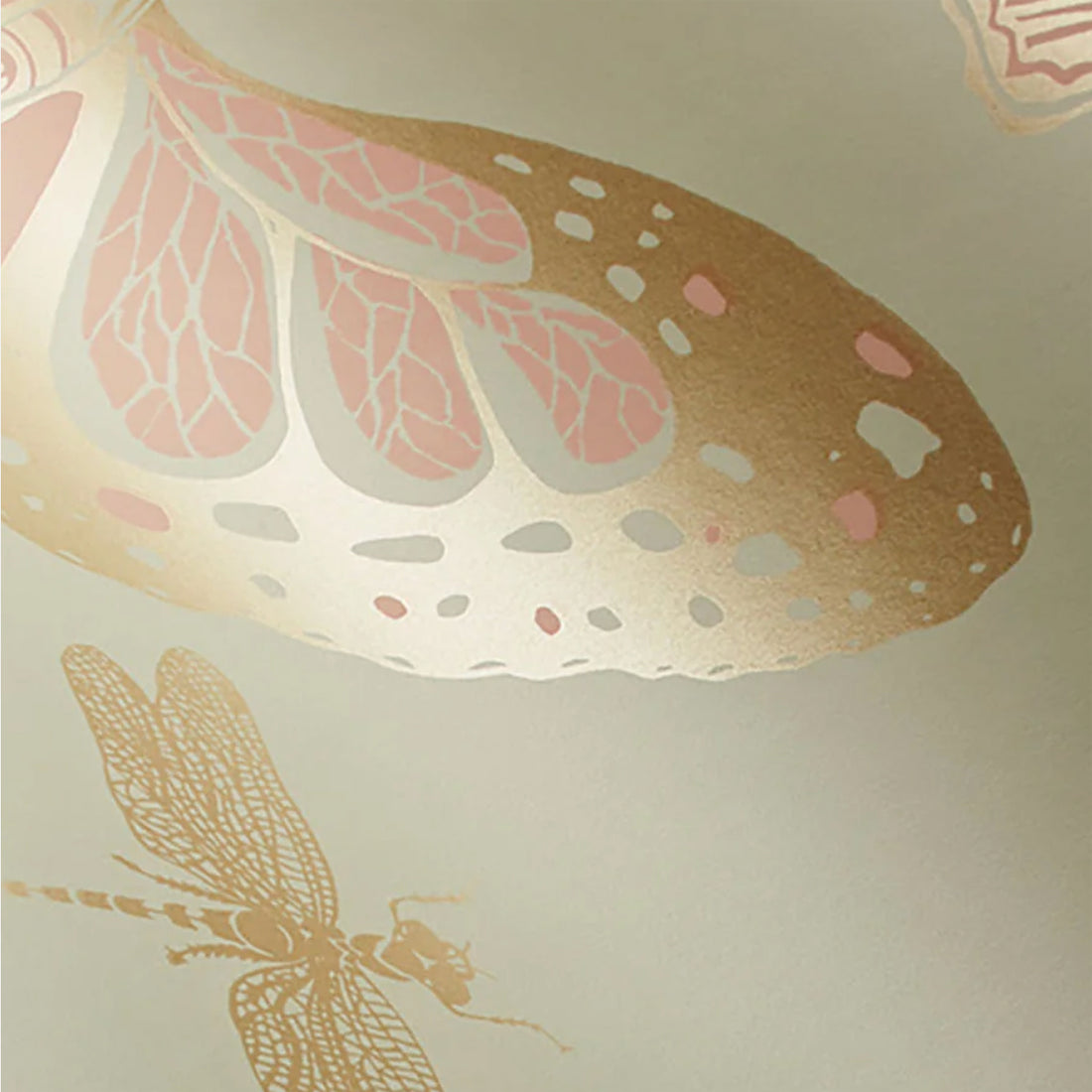 Cole and Son behang Butterflies & Dragonflies Alabaster 103/15063