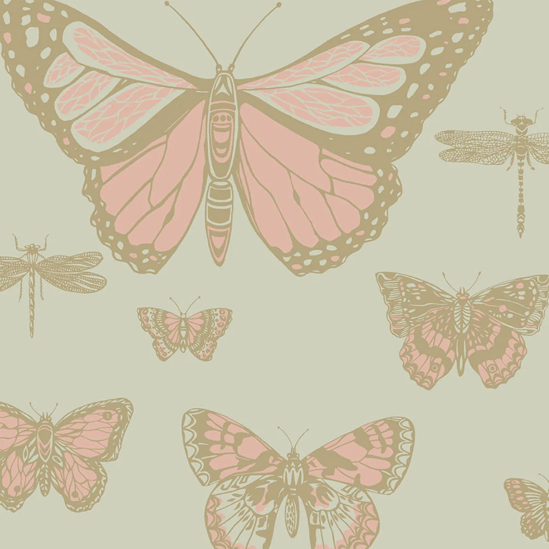 Cole and Son behang Butterflies & Dragonflies Alabaster 103/15063