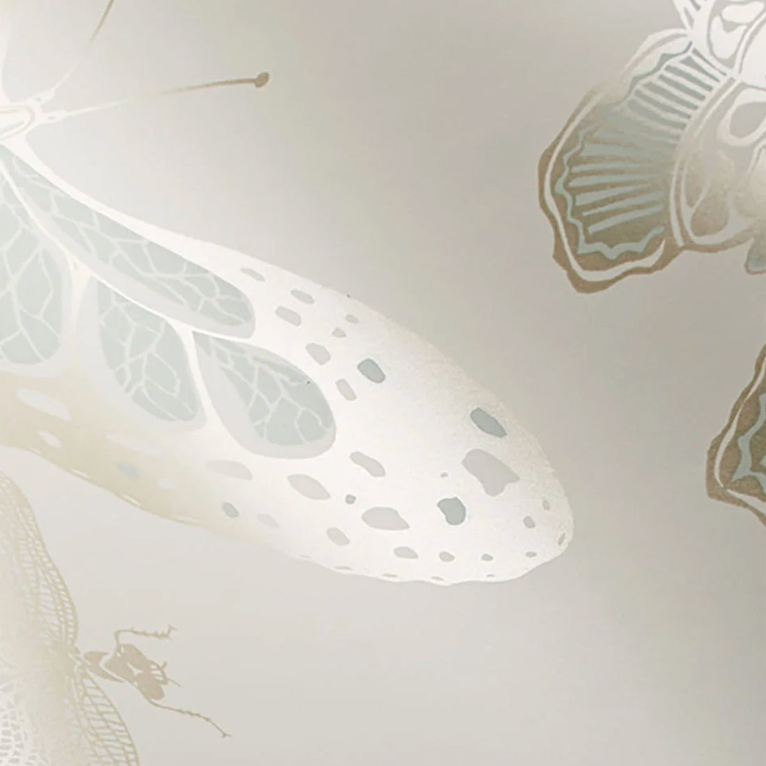 Cole and Son behang Butterflies & Dragonflies duck egg 103/15065