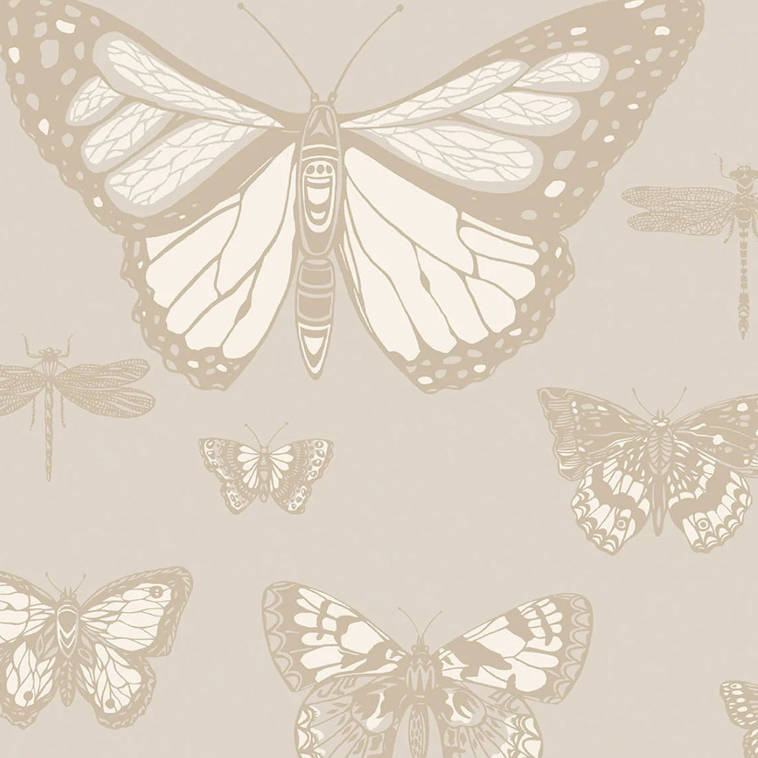 Cole and Son behang Butterflies & Dragonflies gilver 103/15064