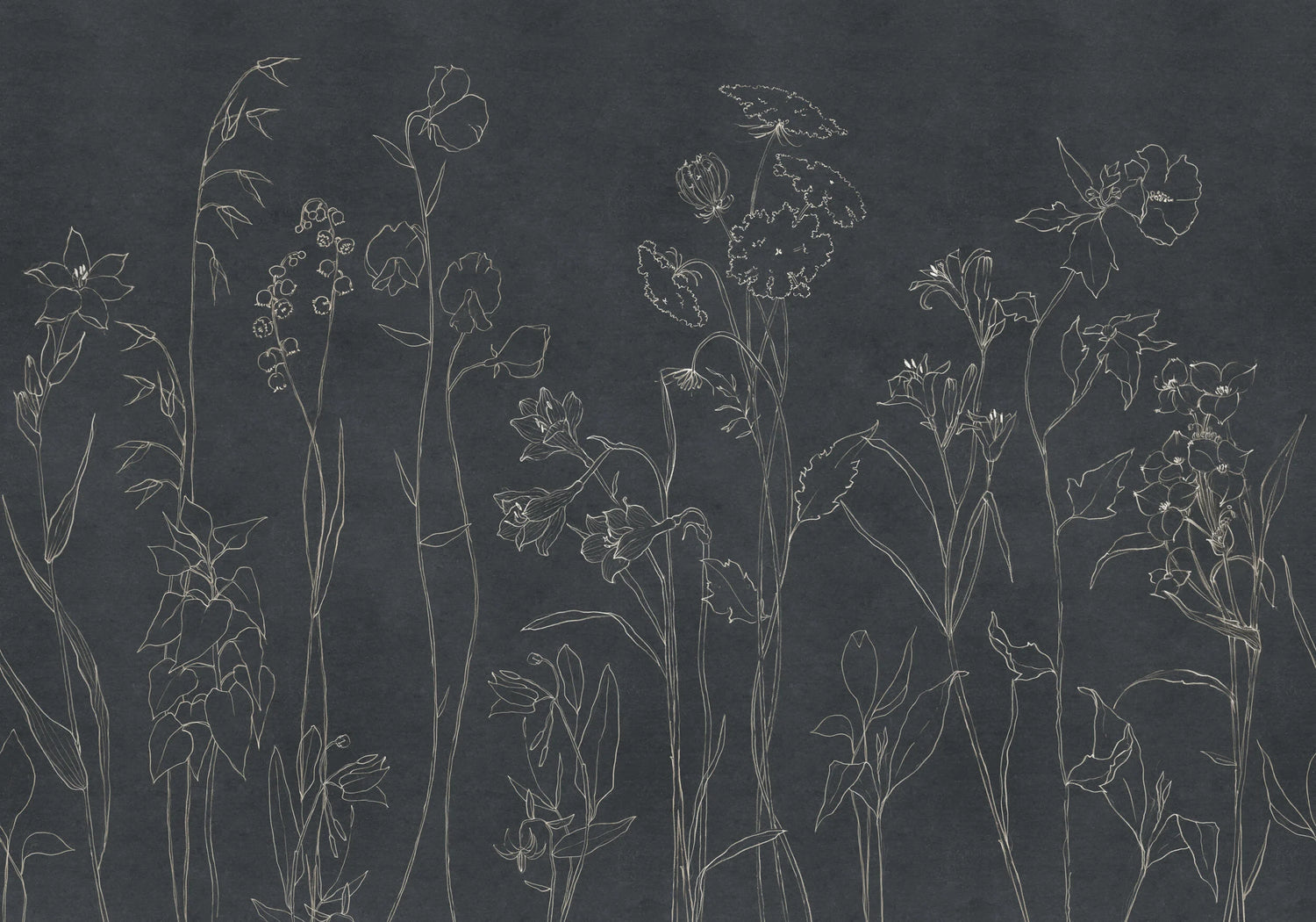 Coordonné Behang Countryside Black B00366