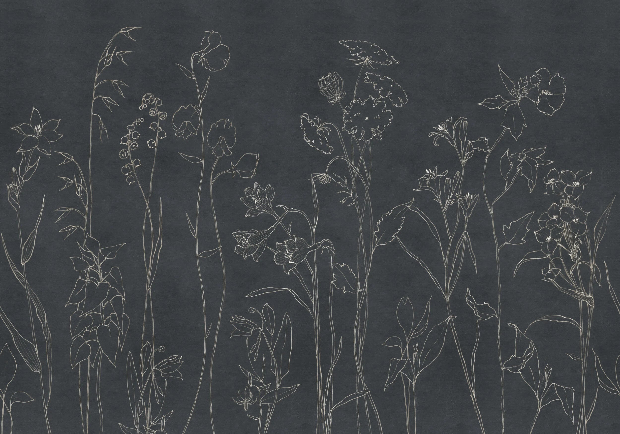 Coordonné Behang Countryside Black B00366