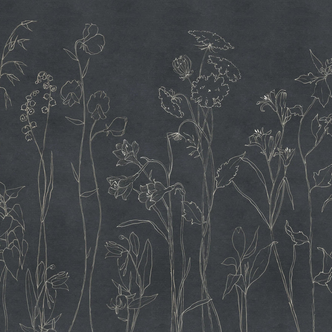 Coordonné Behang Countryside Black B00366