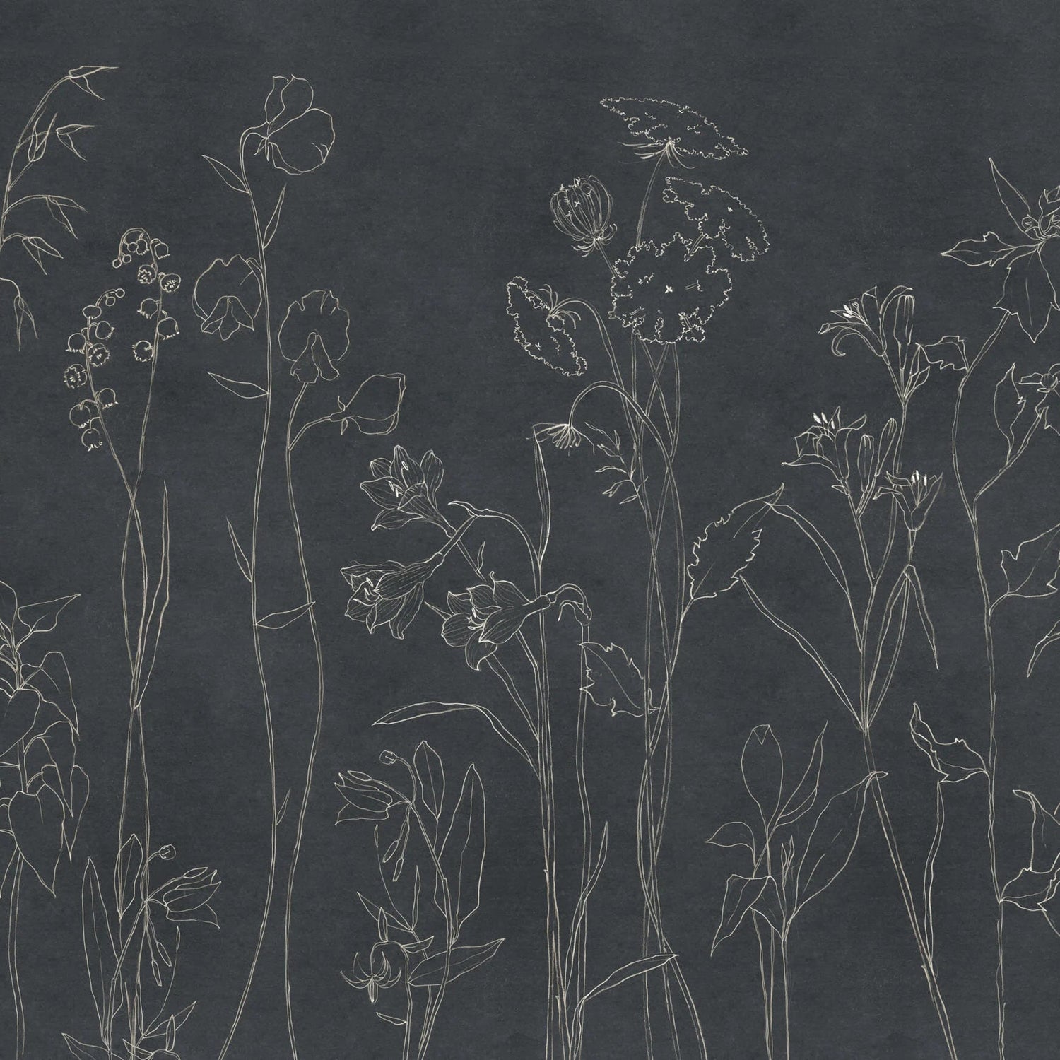 Coordonné Behang Countryside Black B00366