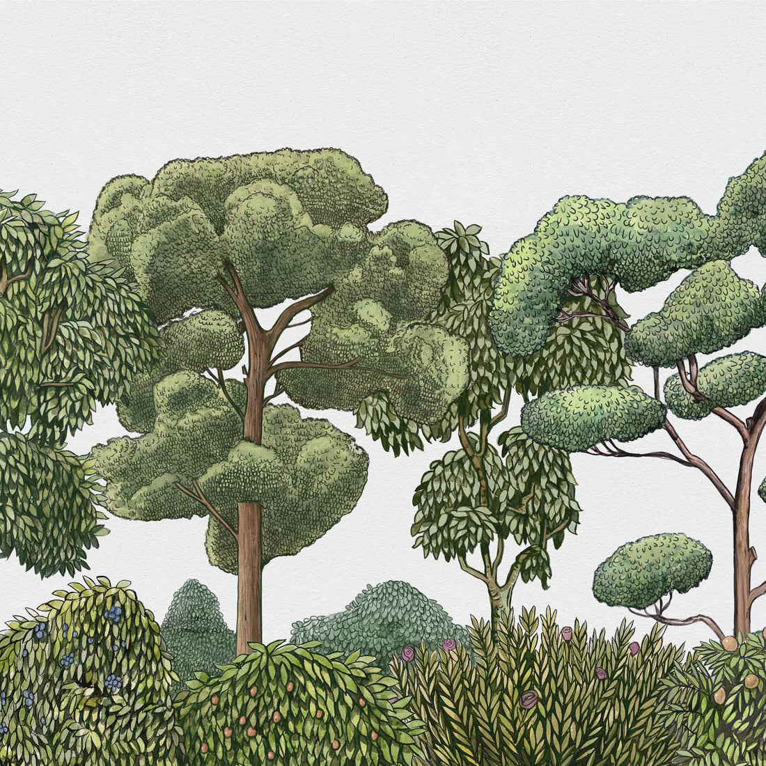 Coordonné behang Green Forest Natural 9700090