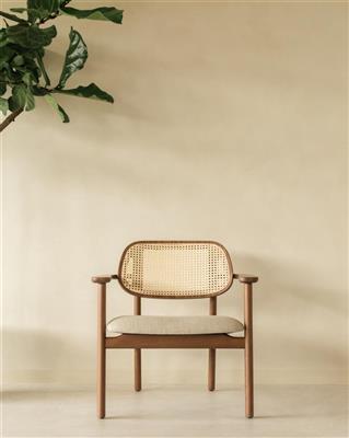 Vincent Sheppard Titus lounge chair