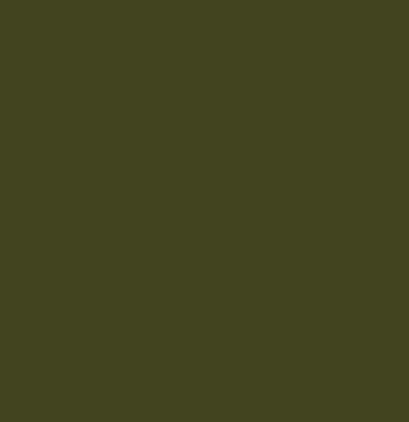 Little Greene verf - Olive Colour 72