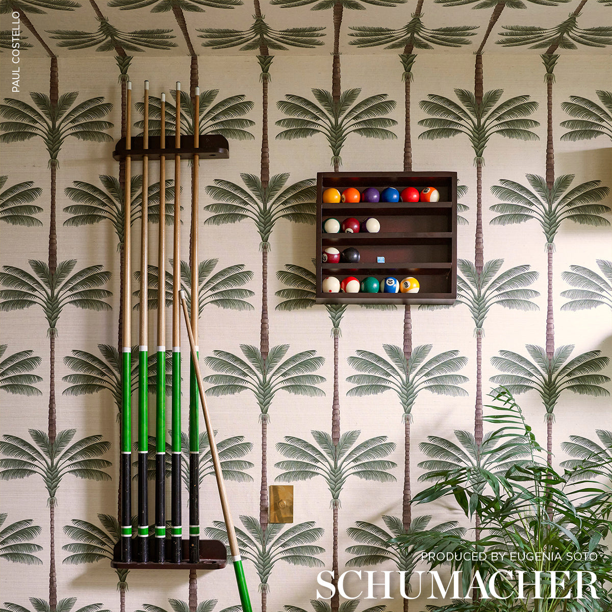 Schumacher A Palm Is A Palm Sisal interieur