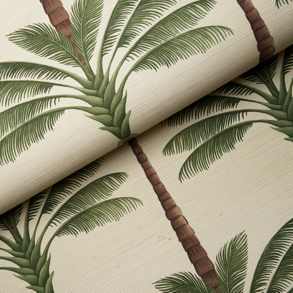 Schumacher A Palm Is A Palm Sisal palm detail