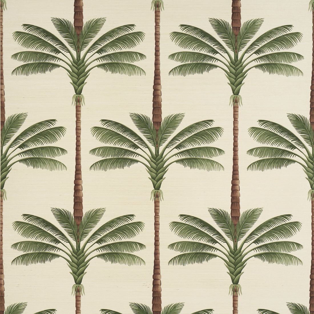 Schumacher A Palm Is A Palm Sisal Daylight Evergreen