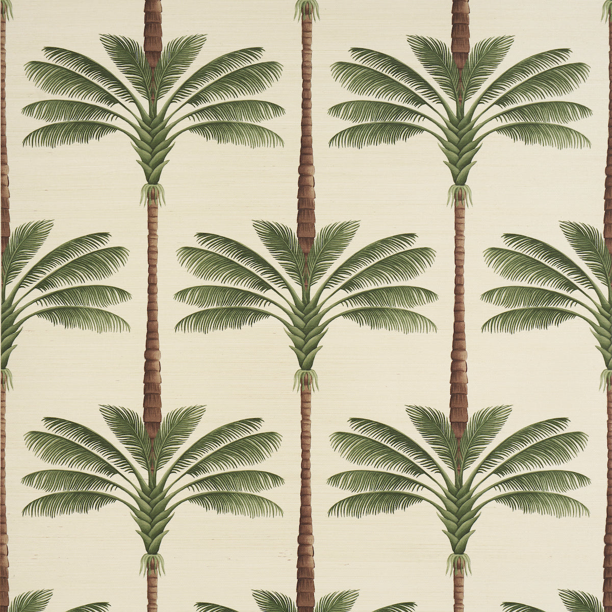 Schumacher A Palm Is A Palm Sisal Daylight Evergreen