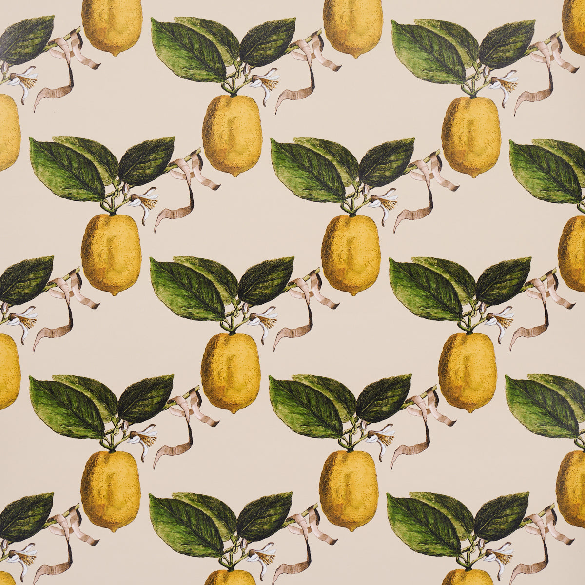 Schumacher Le Citron behang Natural 5014282