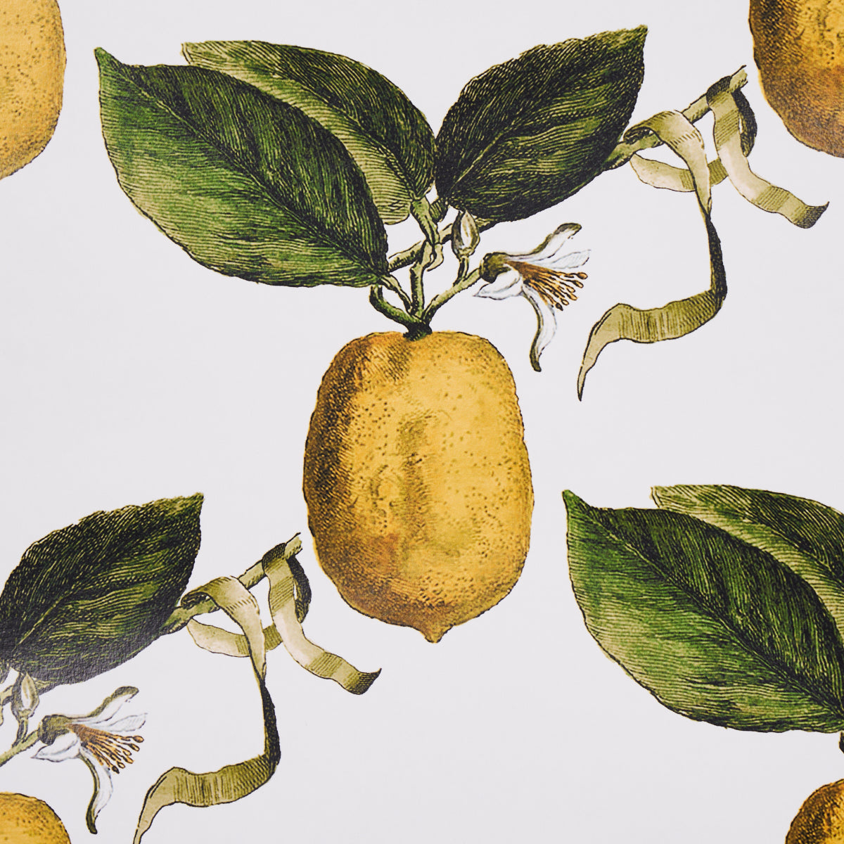 Schumacher Le Citron Ivory detailfoto