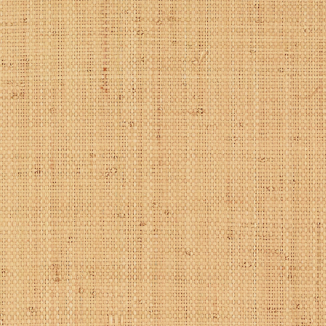 Schumacher Nakara grasscloth behangbekleding Natural 5007940