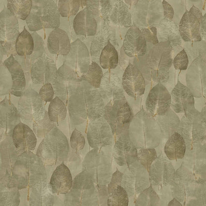 Coordonné behang Suman Moss D00435B