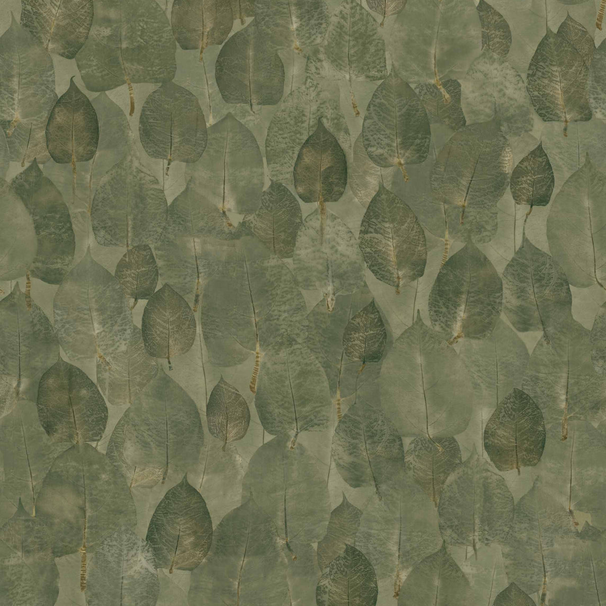 Coordonné behang Suman Pistachio D00437B