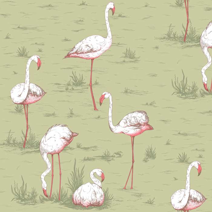 Cole and son flamingos