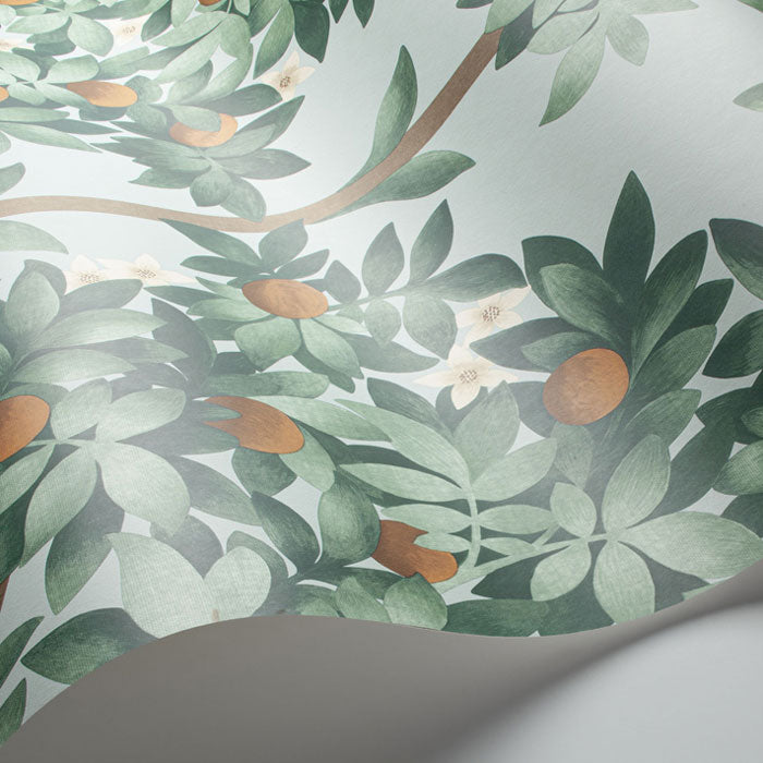 Cole And Son behang Orange Blossom 117/1004