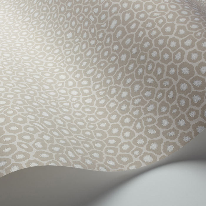 Cole and Son behang Senzo Spot 109/6030