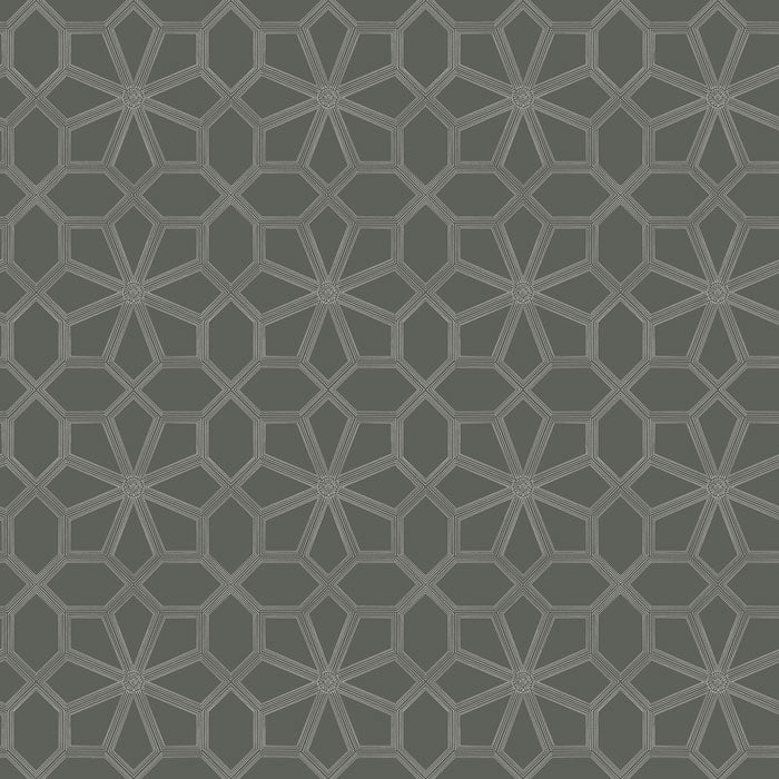 Cole and Son Wolsey Stars 118/16037