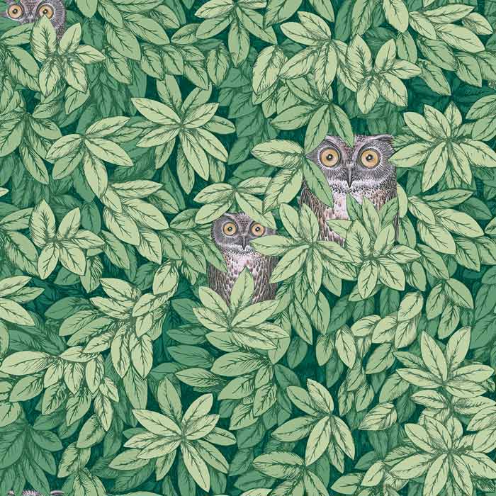 Cole and Son behang Foglie e Civette Forest Green 123/11054