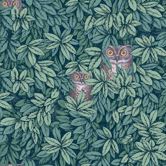 Cole and Son behangFoglie e Civette Viridian 123/11051