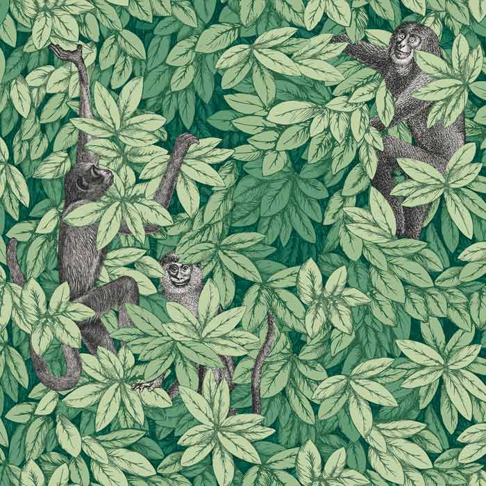 Cole and Son behang Foglie e Scimmie Forest Green 123/10049