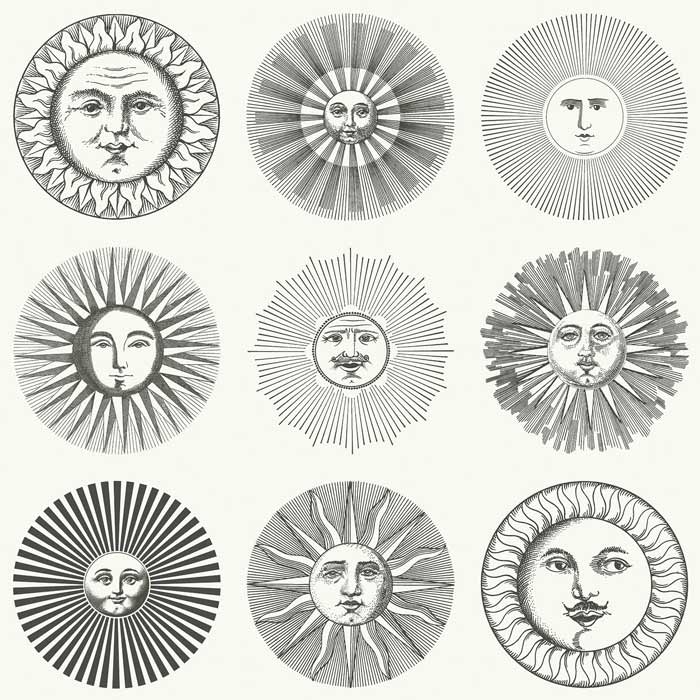 Cole and Son behang Soli Black and White 123/1001