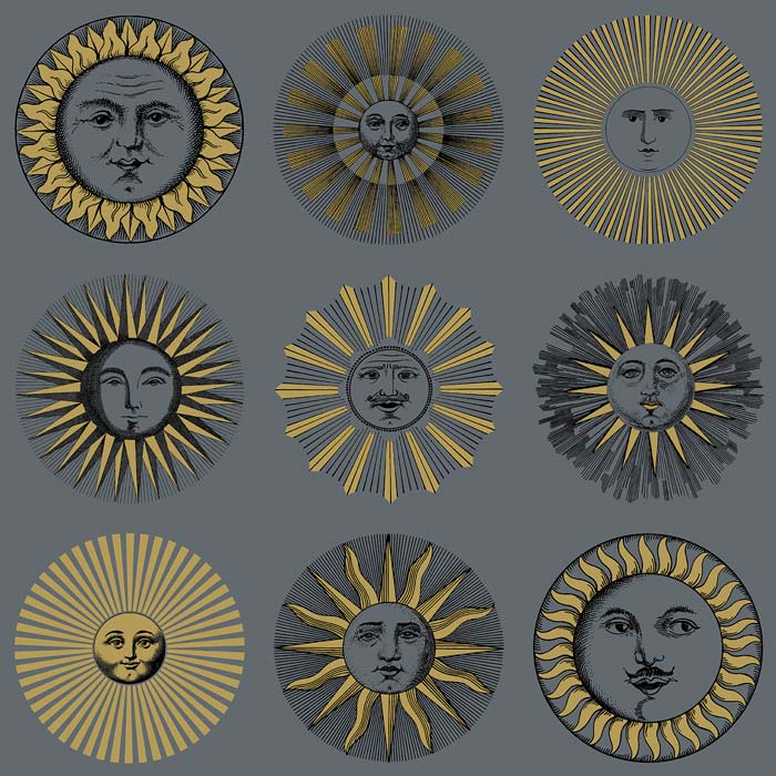 Cole and Son behang Soli Midnight and Gold 123/1004