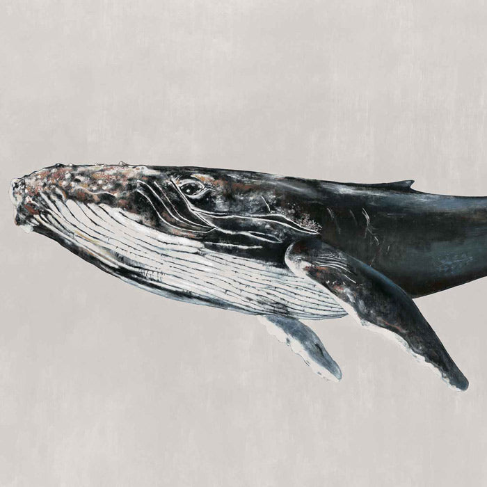 Coordonné behang Humpback Whale Grey