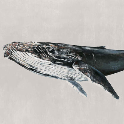 Coordonné behang Humpback Whale Grey