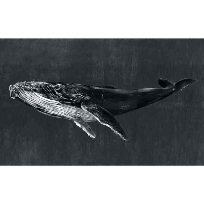 Coordonné behang Humpback Whale Night