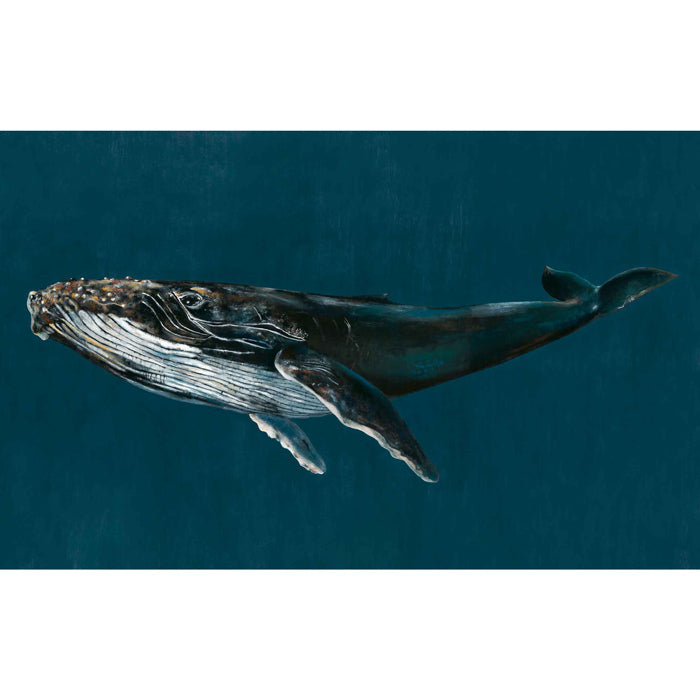 Coordonné behang Humpback Whale Oceans