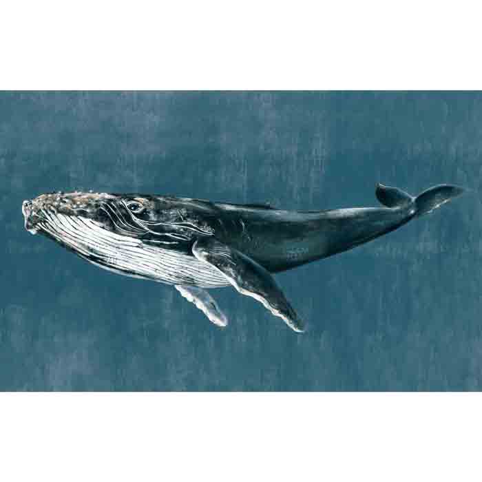Coordonné behang Humpback Whale Vintage