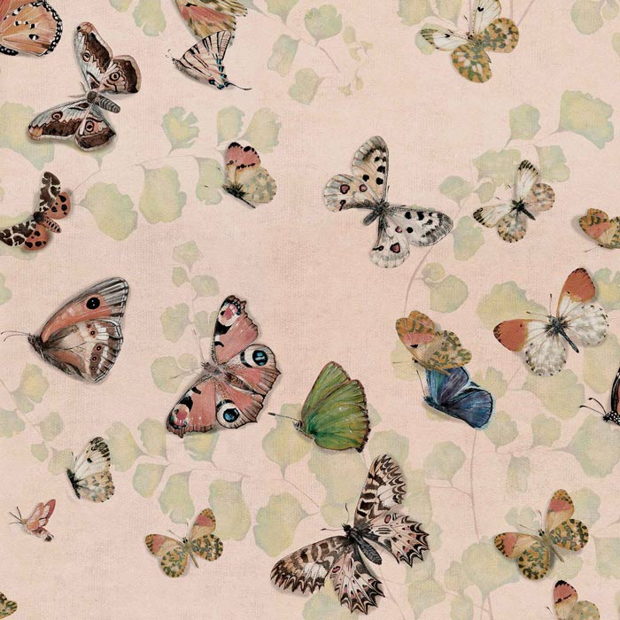 Coordonné behang Magic butterflies Sweet