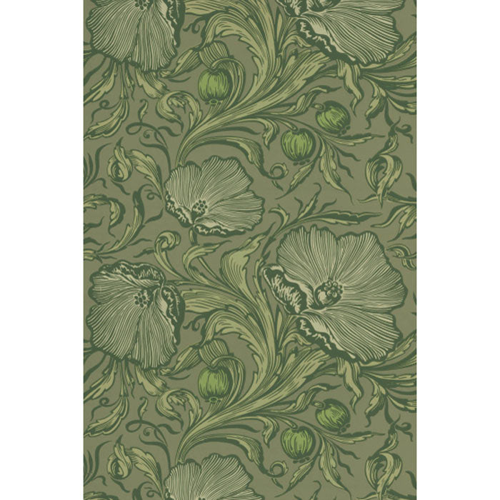Little Greene behang Poppy Trail Sage Green